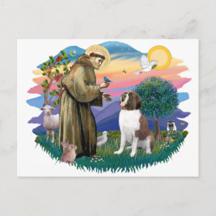 Saint Bernard Briefkaart