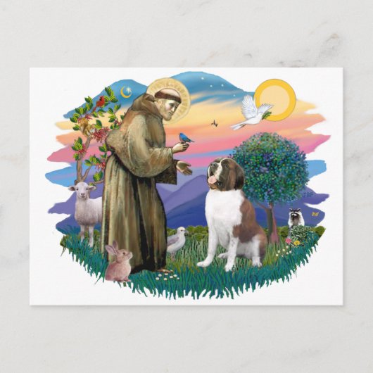 Saint Bernard Briefkaart (Voorkant)