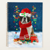Saint Bernard chien avec cadeaux de Noël (Devant)