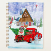 Saint Bernard Chien dans la livraison de Noël Cami (Devant)