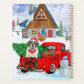 Saint Bernard Chien dans la livraison de Noël Cami (Dos)