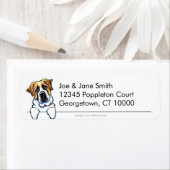 Saint Bernard Clean en Simple Etiket (Insitu)