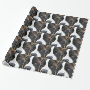 Saint Bernard Dog Cadeaupapier