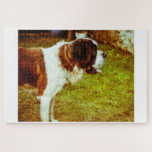 Saint Bernard Dog Jigsaws. Legpuzzel