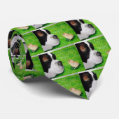 Saint Bernard en Baby Chick Stropdas (Opgerold)