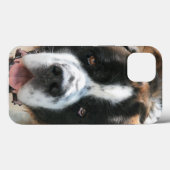 Saint Bernard Face Case-Mate iPhone Case (Achterkant (horizontaal))