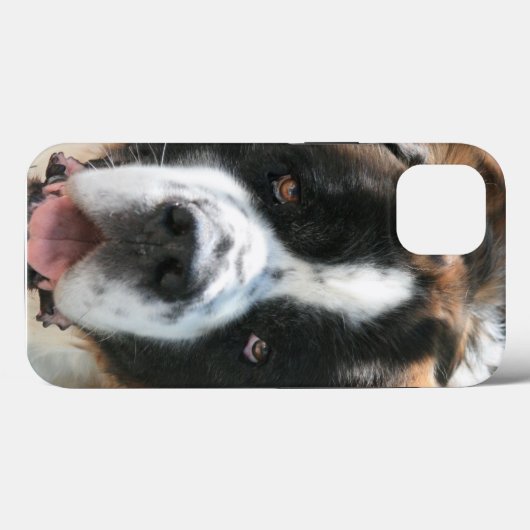 Saint Bernard Face Case-Mate iPhone Case (Achterkant (horizontaal))