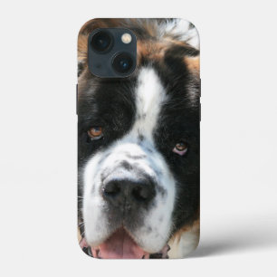 Saint Bernard Face iPhone 13 Mini Hoesje