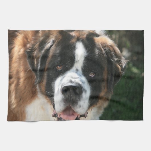Saint Bernard Kitchen Towel Theedoek (Horizontaal)