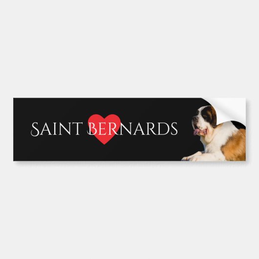 Saint Bernard Lover Bumpersticker (Voorkant)