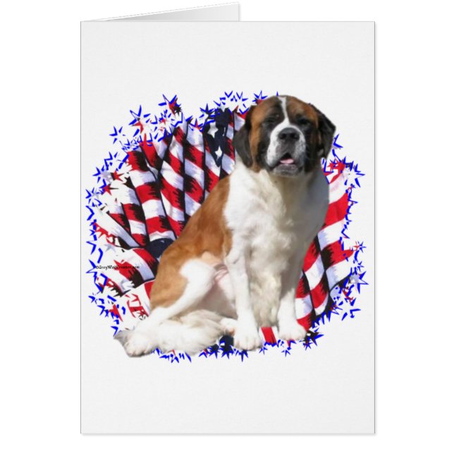 Saint Bernard Patriot (Devant)