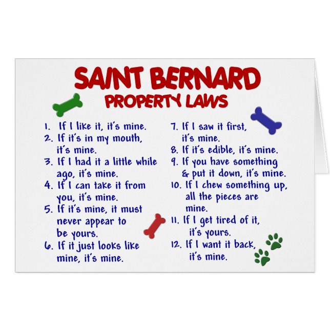 SAINT BERNARD Property Laws 2 (Voorkant Horizontaal)