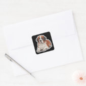Saint Bernard-Sticker Vierkante Sticker (Envelop)