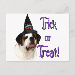 Saint Bernard Trick Briefkaart