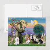 Saint Francis met 10 honden Briefkaart (Voorkant / Achterkant)