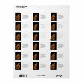 Saint Francis op Zijne Knees Etiket (Full Sheet)