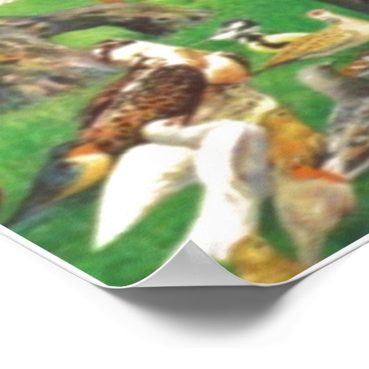 Saint Francis print (Hoek)