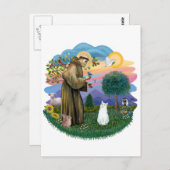 Saint Francis - Witte Kat (Amerikaans SH) Briefkaart (Voorkant / Achterkant)