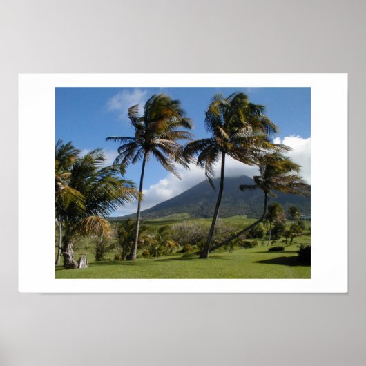 Saint Kitts Plantation Poster (Voorkant)