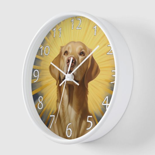 Saint Labrador retriever (Hoek)