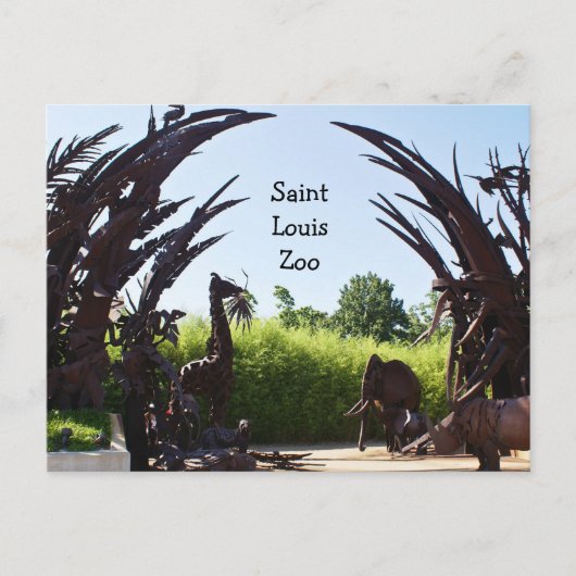 Saint Louis Zoo Briefkaart (Voorkant)