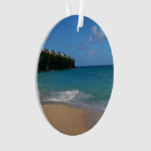 Saint Lucia Beach Paysage tropical (devant)