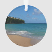 Saint Lucia Beach Paysage tropical (dos)