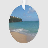 Saint Lucia Beach Paysage tropical (devant)