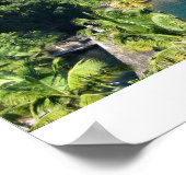 Saint Lucia Poster (Hoek)