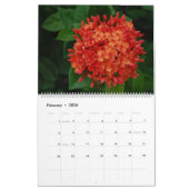 Saint Martin - St Martin Calendrier 12 mois (Feb 2026)