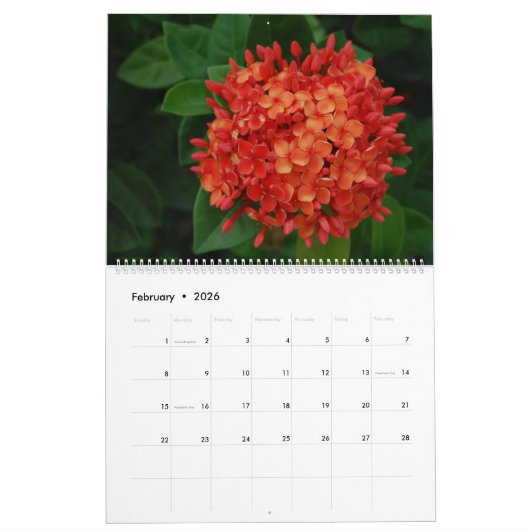 Saint Martin - St Martin Calendrier 12 mois (Feb 2026)