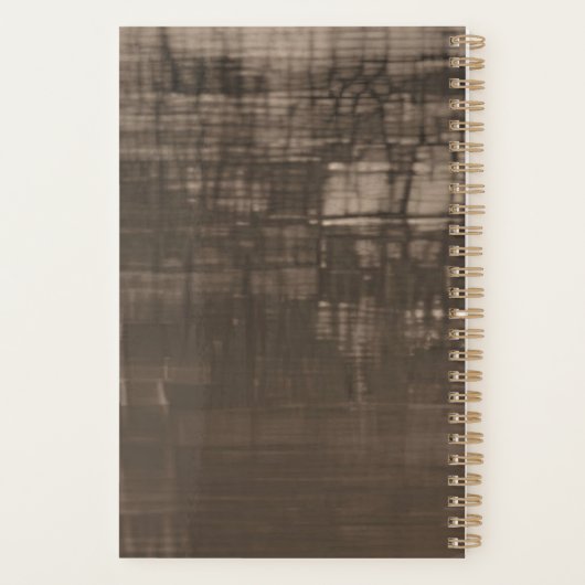 Saint-Padre-Pio (Dos)