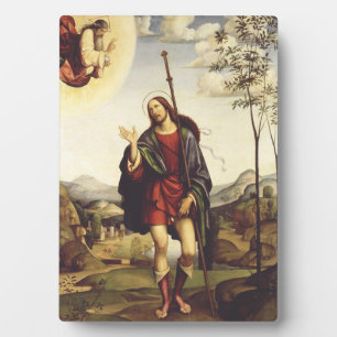 Saint Roch beroemd gemaakt door Francesco Francia Fotoplaat