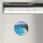 Saint Thomas aimant (In Situ (Lave-vaisselle))