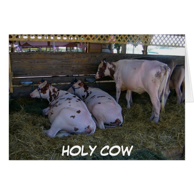 SAINT-VACHE T'AS TOURNÉ 50 ANS (Devant horizontal)