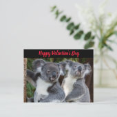 Saint Valentin Koala Bears carte postale (Debout devant)