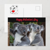 Saint Valentin Koala Bears carte postale (Devant / Derrière)