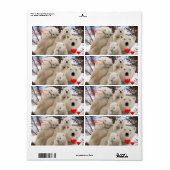 Saint Valentin Ours polaires Étiquette (Feuille entière)