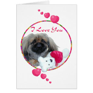 Saint-Valentin Pékinois