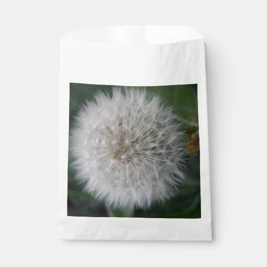 Saisie Dandelion Flower Favoriser les sacs (Devant)