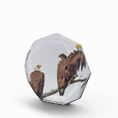 Saison 12 E23 et bloc photo famille (Droite)