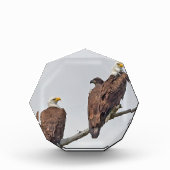 Saison 12 E23 et bloc photo famille (Devant)