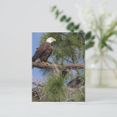 Saison 6 E10, E11 et carte postale Harriet (Debout devant)