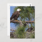 Saison 6 E10, E11 et carte postale Harriet (Devant / Derrière)