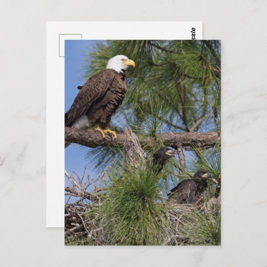 Saison 6 E10, E11 et carte postale Harriet (Devant / Derrière)