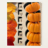 Saison d'automne (Dos)