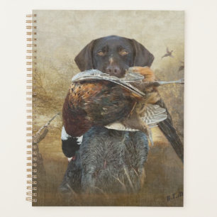 Saison de chasse, Allemand À poils durs Pointer Ta