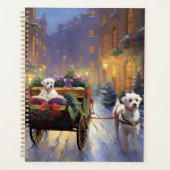 Saison de Noël maltaise (Devant)