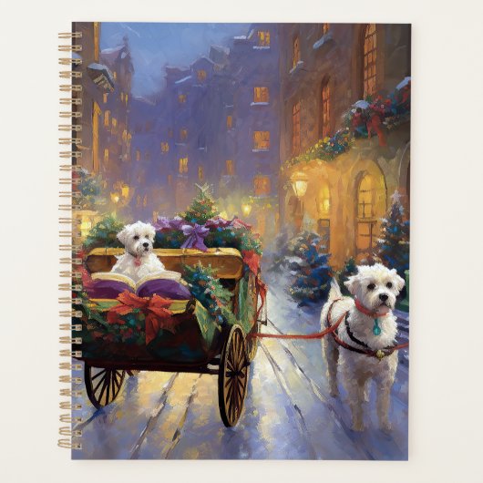 Saison de Noël maltaise (Devant)