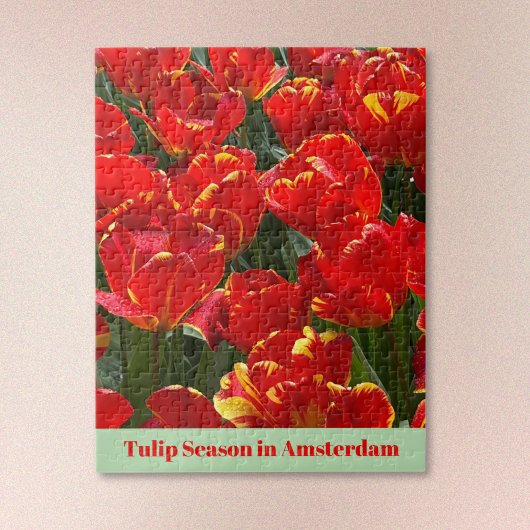 Saison des tulipes à Amsterdam Puzzle